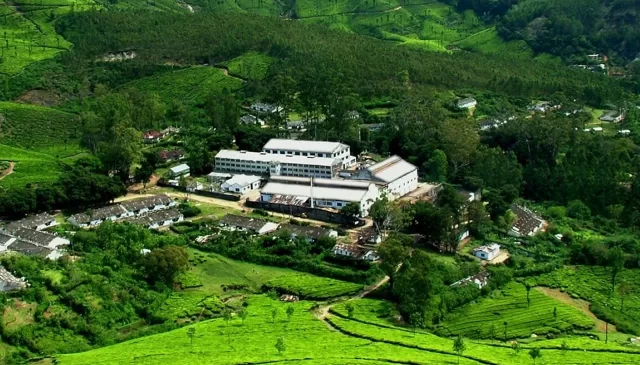 Harrisons Malayalam