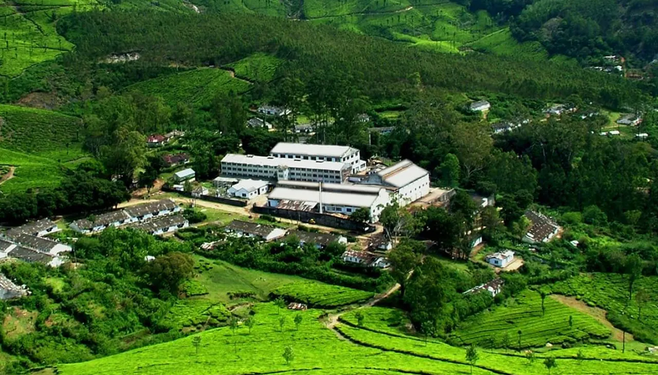 Harrisons Malayalam