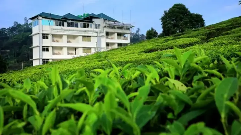 Monsoon Grande Resort