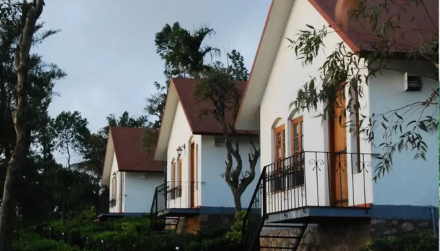 Tea Terrace Vythiri