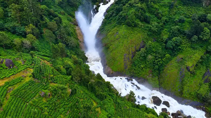 Attukad Waterfalls cascading through green hills and tea plantations near Munnar.
