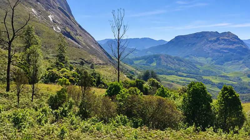 Rocky mountain slopes, green valleys and forest in Eravikulam National Park near Munnar.