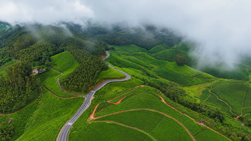 Gap Road winding through green tea plantations beneath mist-covered hills in Munnar.