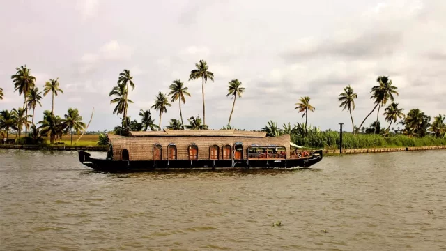 Traditional houseboat cruising through Kerala backwaters surrounded by coconut palm trees at golden hour