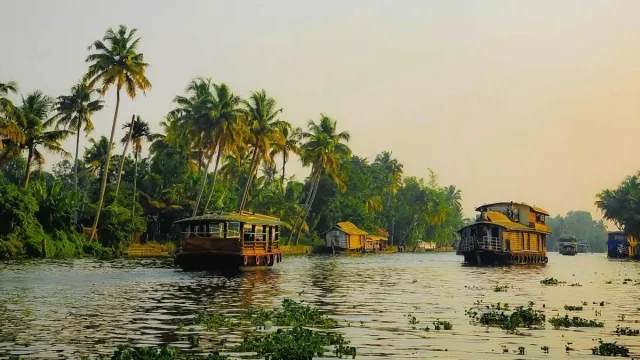 Houseboat cruising through Kerala backwaters surrounded by coconut palm trees