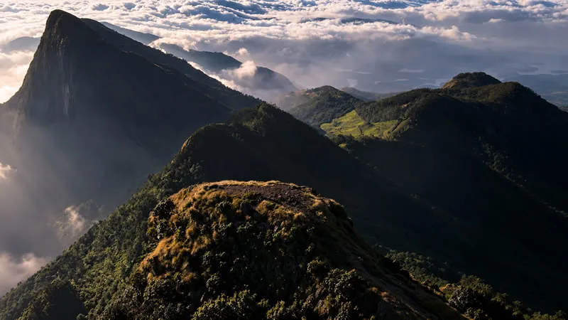 Early sunlight falling across rugged Kolukkumalai mountain ridges above a sea of clouds.