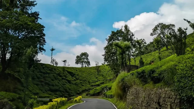 Unexplored Kerala Forest Trail