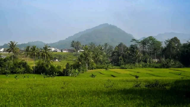 Remote hill village hidden in misty Western Ghats of Kerala with forested slopes