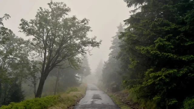 Unexplored Kerala Road Into Hills